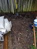Harbor Freight 10 x 12 Greenhouse Build-electrical-trench2-jpg