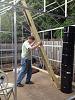 Harbor Freight 10 x 12 Greenhouse Build-wet-wall9-jpg
