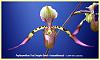 Too Early to Hazard a Guess About This Paph?-3823-jpg