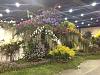 21st WORLD ORCHID CONFERENCE-orchid-show1-jpg