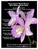 North Jersey Orchid Show &amp; Sale - Jan 16-18-2015-njos-flyer-jpg