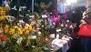 My new orchids from POE and some pic from the show.-imag0524-jpg
