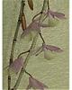 ID this Orchid Please-orchid-board-norm-board-019-128x160-jpg