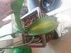 Phal is dying/thriving at the same time? orchid newbie-20150512_202248-jpg