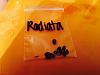 Habenaria radiata-seeds-jpg