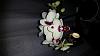 Got a new blooming phalaenopsis-uploadfromtaptalk1443783174357-jpg