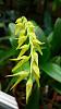 Cold orchidarium 150l-uploadfromtaptalk1449006179692-jpg