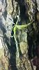 Has Anyone Successfully Kept A Ghost Orchid? (Dendrophylax lindenii)-dendrophylax-lindenii-2-18-16-jpg