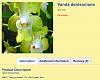 Ahtanum Orchids-ad-jpg