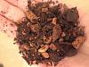 Is this potting mix suitable?-img_5193-2-jpg