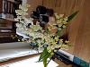 Need Some New Orchids, What Should I Get?-20180207_102917-jpg