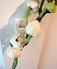 Orchids with a strong scent-flower-close-jpg