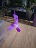 Cattleya walkeriana 'Lavender' (Estrella da Collina x Divina)-img_20190315_193102460-jpg