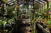 How is an orchid greenhouse/hothouse arranged?-1b45c2e7-2472-4ac4-bd36-2f3fb3cb4887-jpg