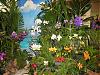 Sarasota Annual 50th Orchid Show-sarasota-1-jpg