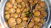 Pot for Houlettia odoratissima-houlettia_odoratissima_20200912_large_seca-jpg