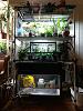 WIP: Fridge terrarium for cool growers-img_20201204_201308733-jpg