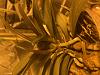 terminal inflorescence and keiki on my phalaenopsis-img_9625-jpg