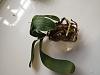 Is this type pot and this orchid bark good?-img_20221120_102931524-jpg