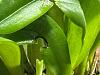 Please id-img_0349-jpg