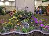 Pictures added: Tampa Bay Orchid Society Annual Show and Sale-100_9888-jpg