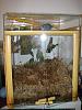 3 from Andy's orchids-terrarium-3-jpg