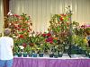 Central FL Orchid Show-chids-007-640x480-jpg