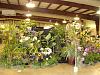 Central FL Orchid Show-chids-011-640x480-jpg