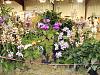 Central FL Orchid Show-chids-016-640x480-jpg