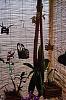 My sanctuary-102_0396-jpg
