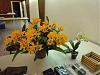 The Orchid Mining Co. Orchid Display-4-jpg