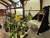 The Orchid Mining Co. Orchid Display-8-jpg