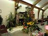 The Orchid Mining Co. Orchid Display-11-jpg