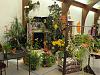 The Orchid Mining Co. Orchid Display-12-jpg