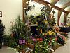 The Orchid Mining Co. Orchid Display-winner4-jpg