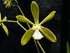 Some tampensis-2010_06260044-1024x768-jpg