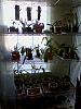 Orchids dropping leaves-orchid-shelves-jpg