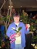 Amherst Orchid Society Show-cl-ribbons-harlequin_email-5202-jpg