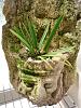 Cement based orchid growing plaque-orchid2-jpg