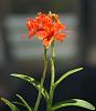 Help: Need ID-unknown-02-jpg