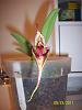 Bulbophyllum Fascinator in Bloom!-100_6554-jpg