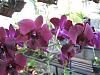Good to be back!-img_0433-jpg