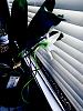 Angraecum Lemforde 'White Beauty,' June Blooms!-img_0437-jpg