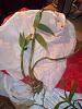 cuttings-cuttings-001-jpg