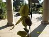 {he Huntington Gardens and Library Part 2}-day-021-jpg