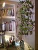 My aeroponic orchid wall-living-wall-plants-1-jpg