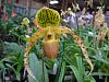 More pics from Hilltop Orchids-hilltop-3-003-jpg