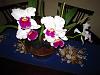 Lc. Jamaica Souvenir 'Elizabeth' x Lc. Mildred Rives 'Orchidglade' AM/AOS-img_0100-copy-jpg