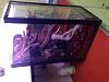 Vivarium for cool growing orchids..in progress.. Literally cool...(build)-photo-5-2-jpg