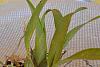 Help with identifying my new acquisitions - NoID-dsc_0720a-jpg